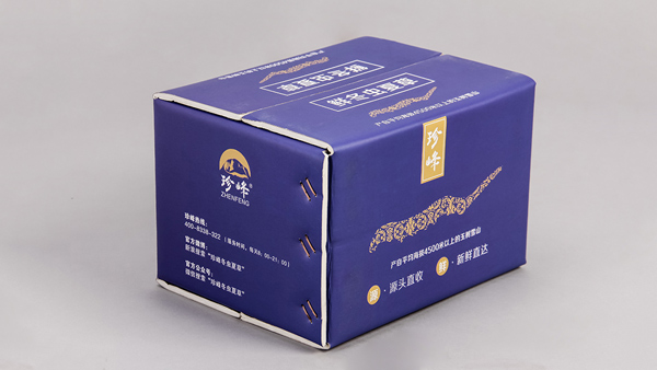 冬虫夏草彩面保温包装定制